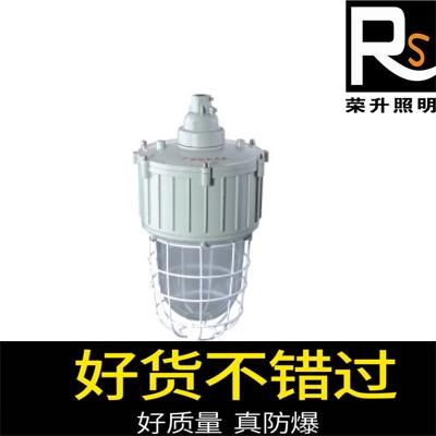 bad59防爆無極燈 隔爆型防爆燈