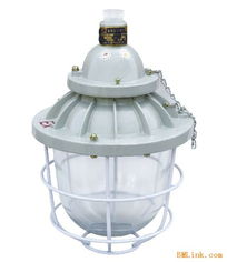 防爆照明解決方案 從BCD到BAD56系列防爆燈與隔爆技術的深度解析